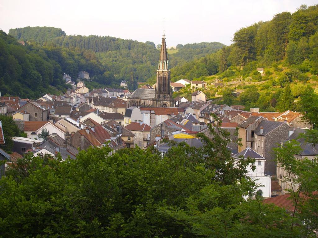 Aux Studios Du Parc Plombières-les-Bains Buitenkant foto